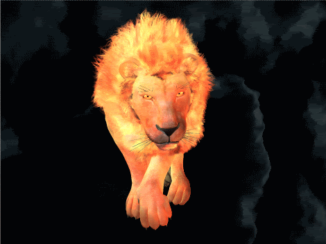fire lion-Animated