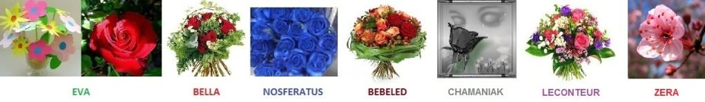 90bis1.jpg