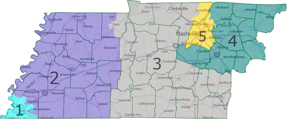  photo TennesseeNon-PartisanMapStateView_zps775f3246.png