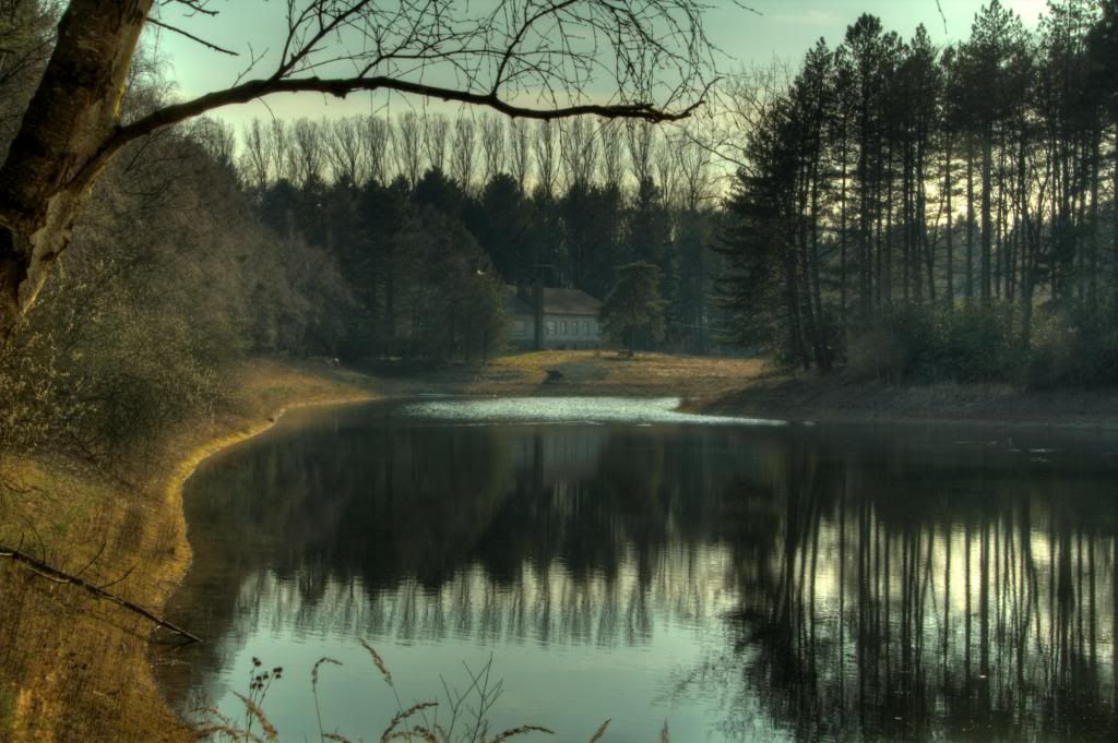 Lake with reflection landscape