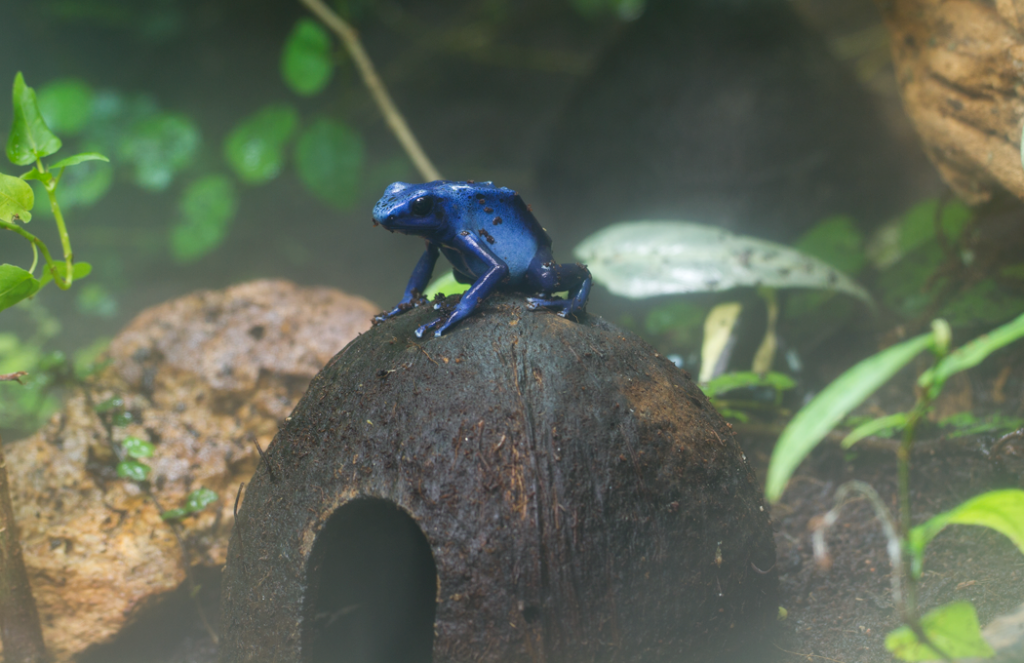 IMAGE: http://i1131.photobucket.com/albums/m544/johnnny42/IMG_2934.png