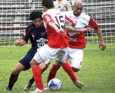 tacuatenas3.jpg