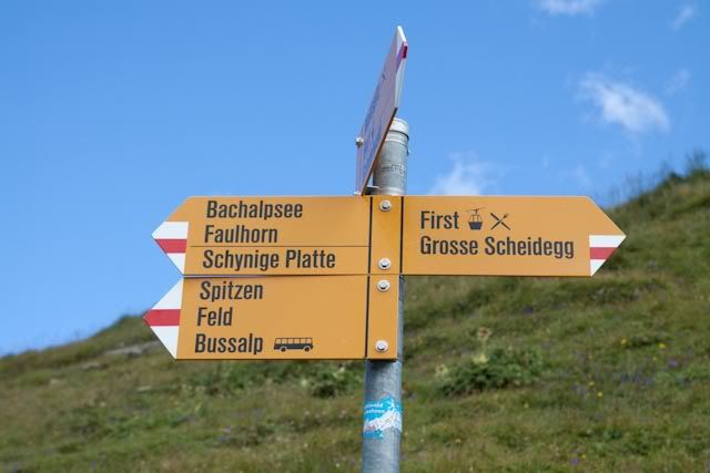 Suiza: Región del Jungfrau en el Oberland Bernes - Blogs de Suiza - Región del Jungfrau en el Oberland Bernes (10)