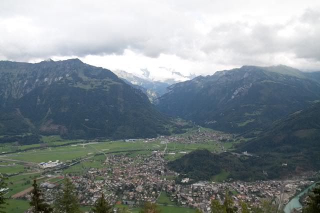 Suiza: Región del Jungfrau en el Oberland Bernes - Blogs de Suiza - Región del Jungfrau en el Oberland Bernes (21)