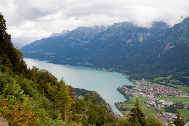 Suiza: Región del Jungfrau en el Oberland Bernes - Blogs de Suiza - Región del Jungfrau en el Oberland Bernes (22)