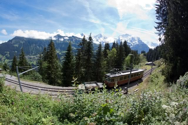 Suiza: Región del Jungfrau en el Oberland Bernes - Blogs de Suiza - Región del Jungfrau en el Oberland Bernes (23)