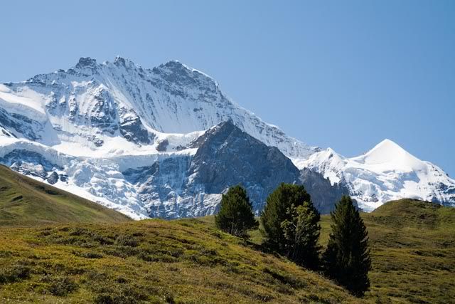 Suiza: Región del Jungfrau en el Oberland Bernes - Blogs de Suiza - Región del Jungfrau en el Oberland Bernes (31)