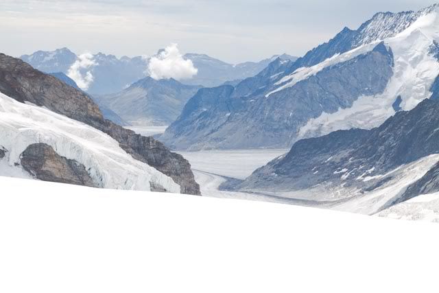 Suiza: Región del Jungfrau en el Oberland Bernes - Blogs de Suiza - Región del Jungfrau en el Oberland Bernes (37)