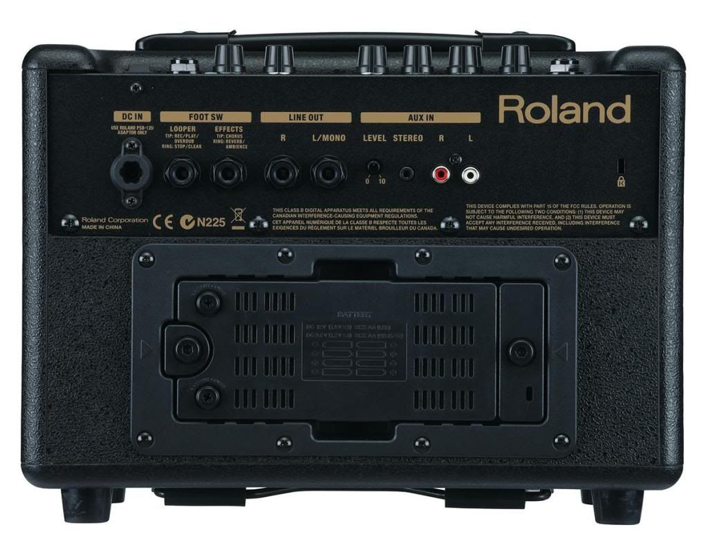 Roland Acoustic Amp