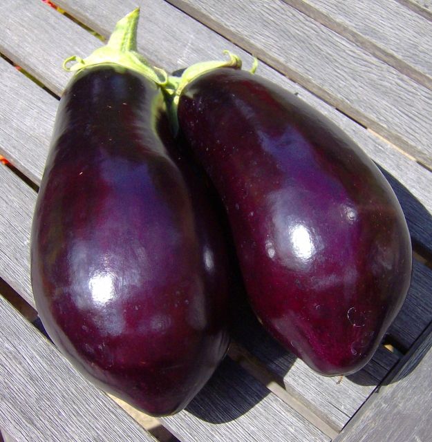 http://i1131.photobucket.com/albums/m551/lilylouise1/aubergines036.jpg