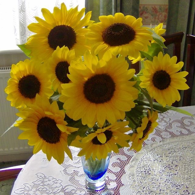 http://i1131.photobucket.com/albums/m551/lilylouise1/sunflowervase014-2.jpg