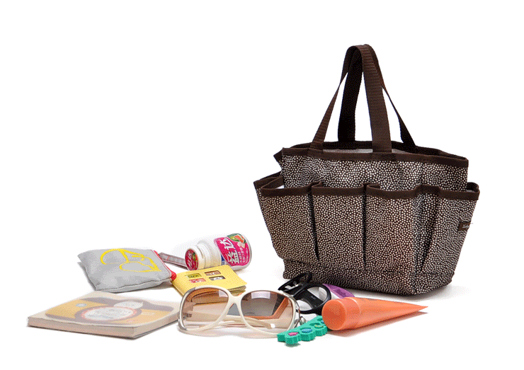 Travel All In One Organizer Shopping mini Tote carry hand Bag gift 31 thirty dot eBay