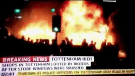 riot gif Pictures, Images and Photos