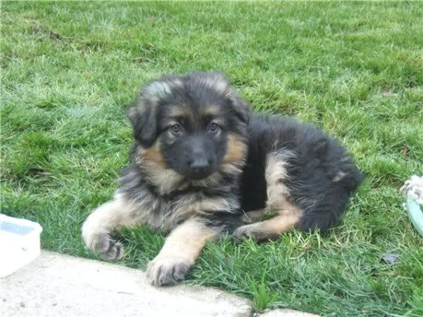 IMAGE: http://i1131.photobucket.com/albums/m552/ryan-keats/n1668330115_127784_3334.jpg