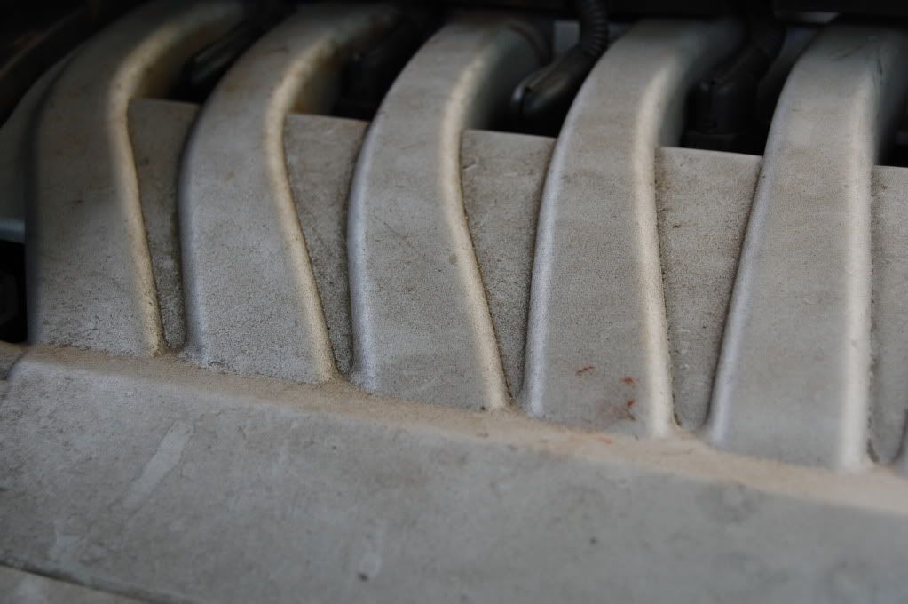 [Image: DSC_0415.jpg]