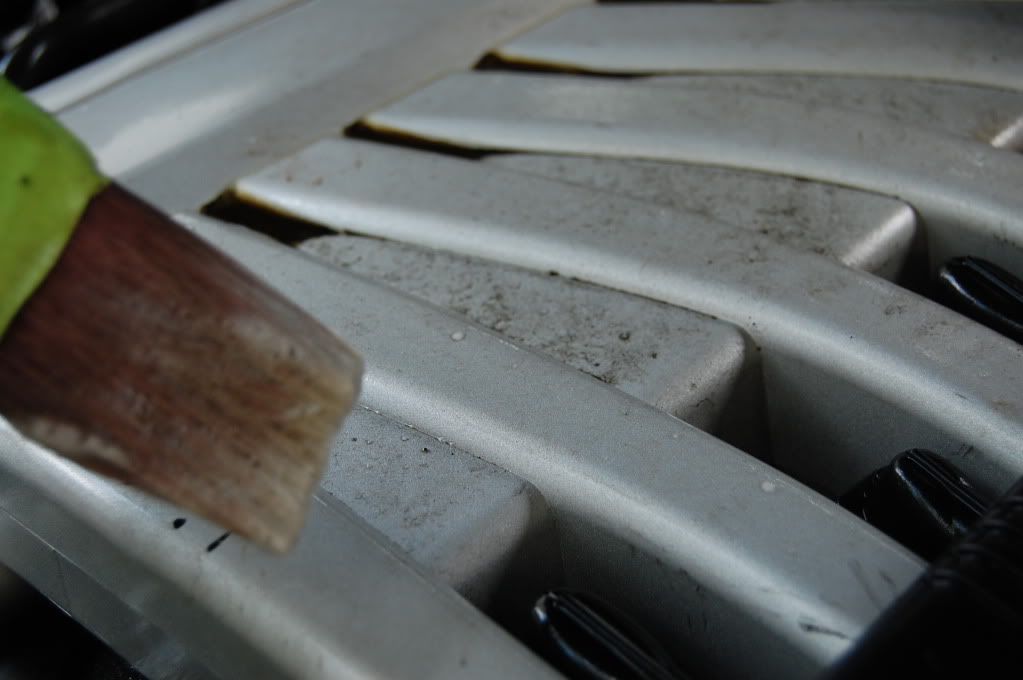 [Image: DSC_0432.jpg]