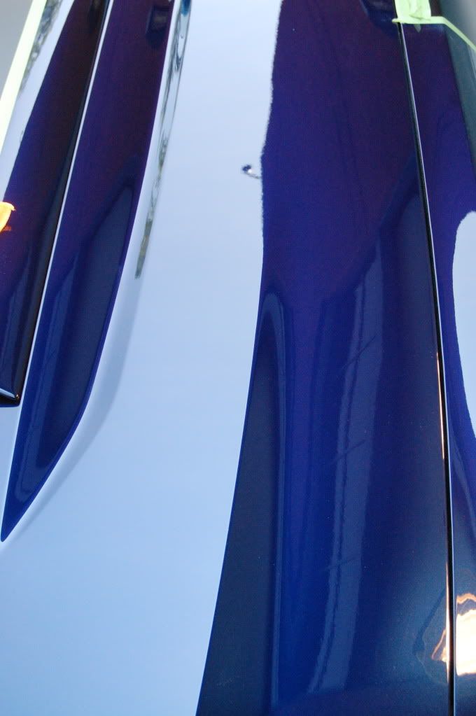 [Image: DSC_0279.jpg]