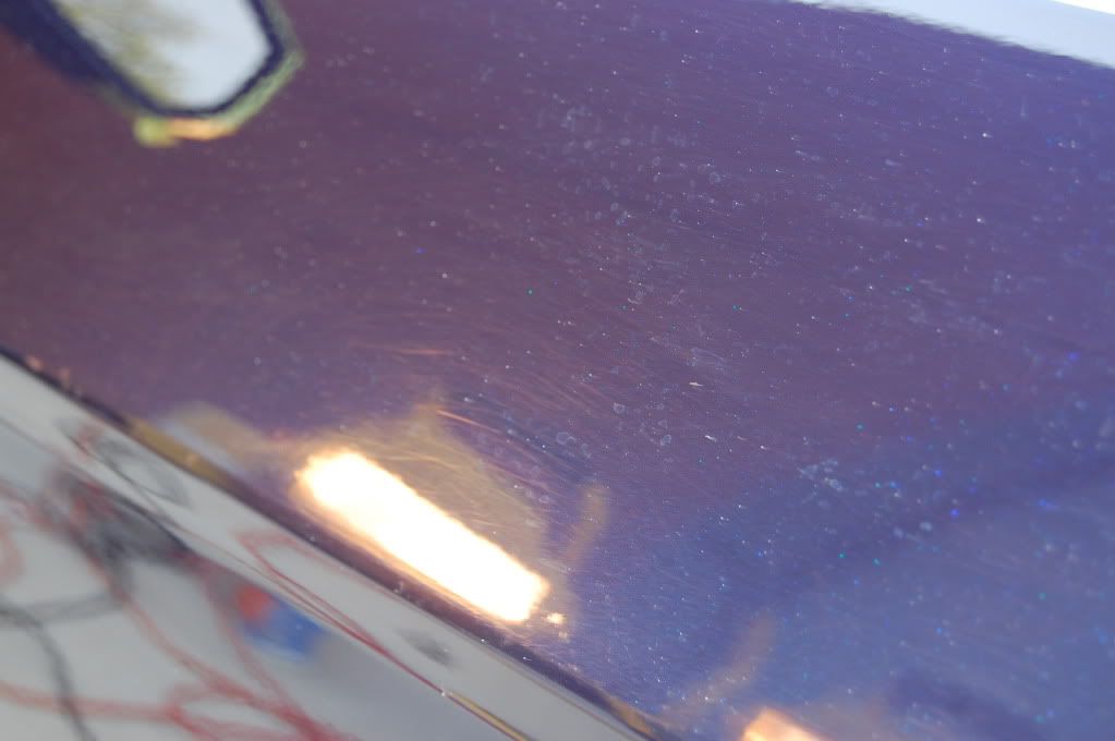 [Image: DSC_0291.jpg]