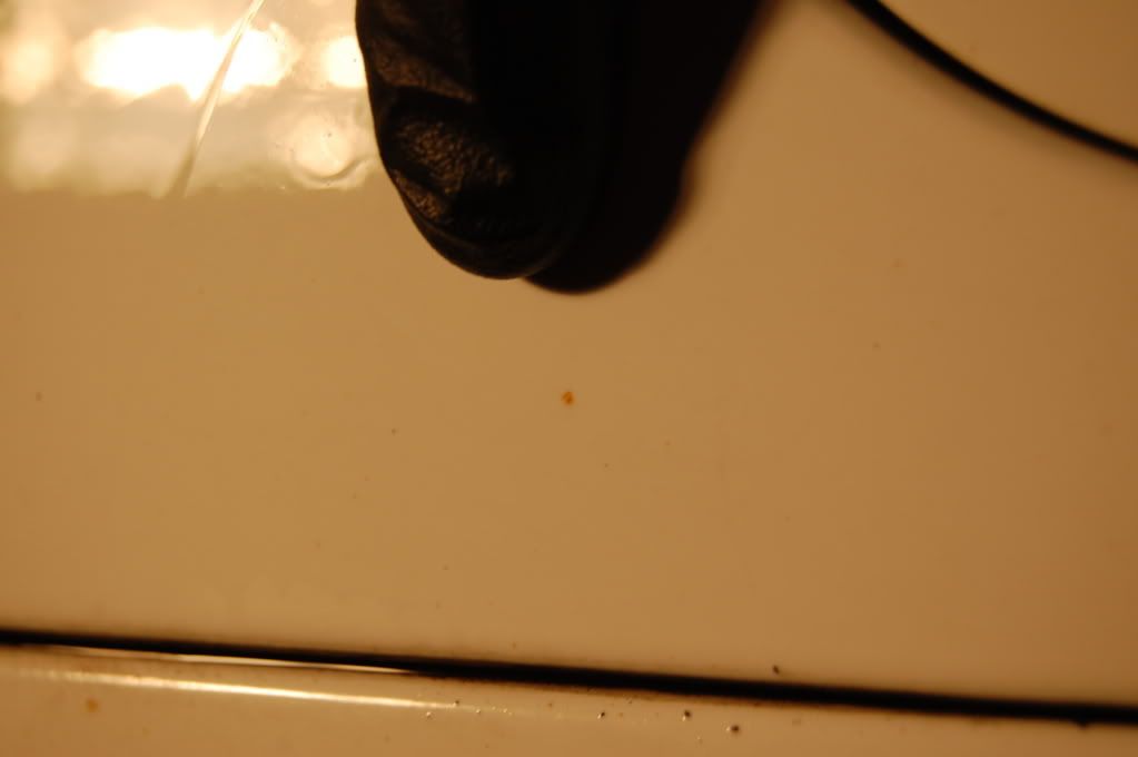 [Image: DSC_0306.jpg]