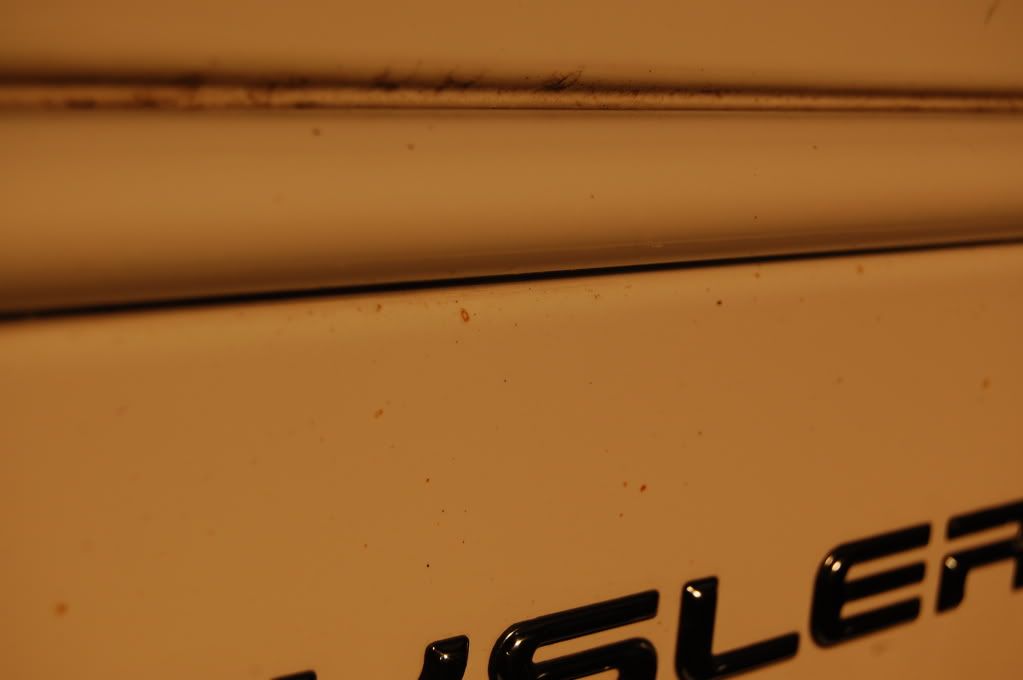 [Image: DSC_0310.jpg]