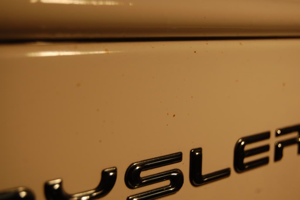 [Image: DSC_0311.jpg]