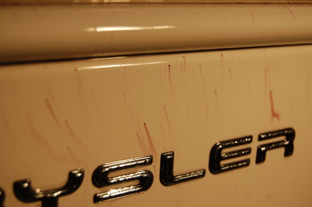 [Image: DSC_0313.jpg]