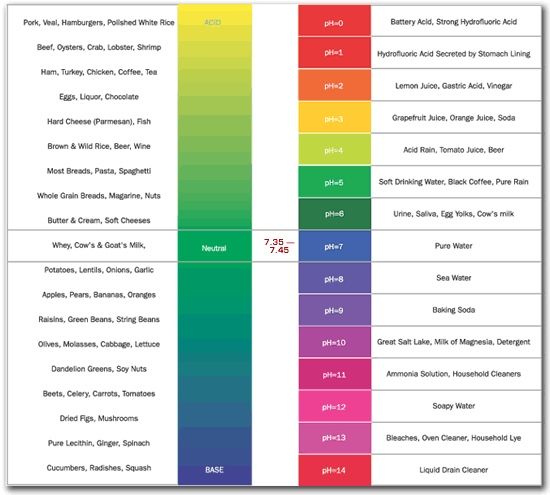 Chemical Ph Scale