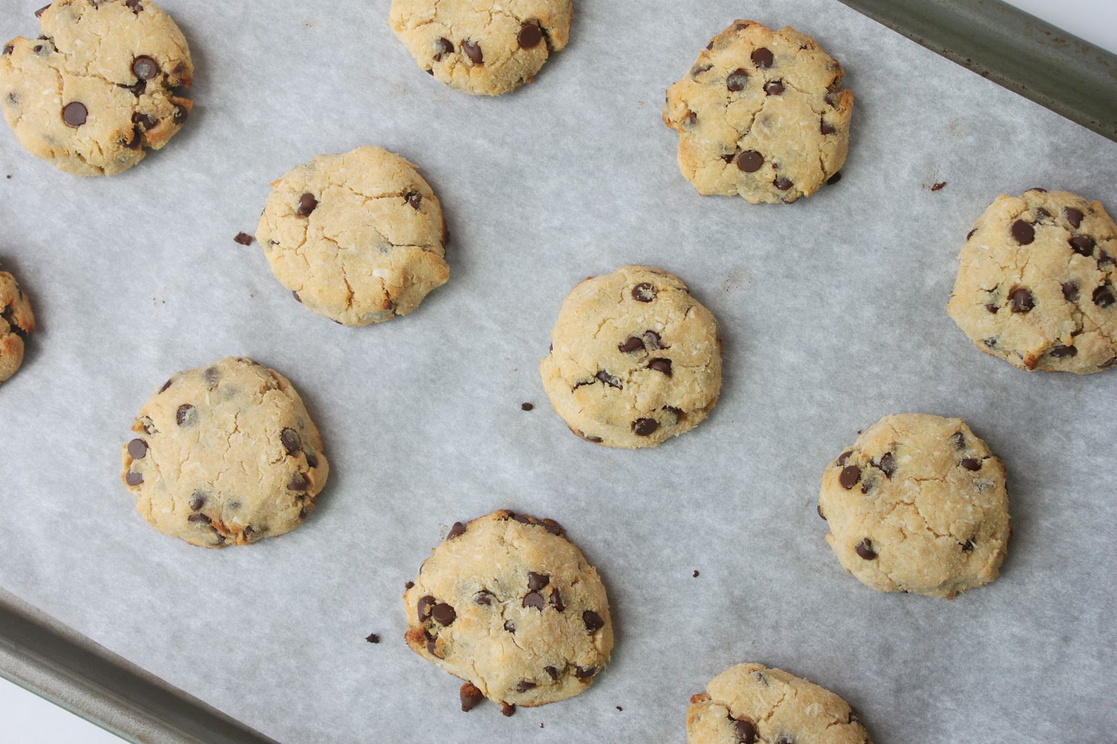 Delighted Momma: Paleo Chocolate Chip Cookies (no flour ...