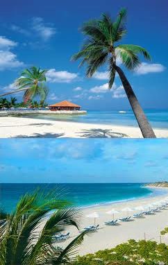 caribbean caribbean