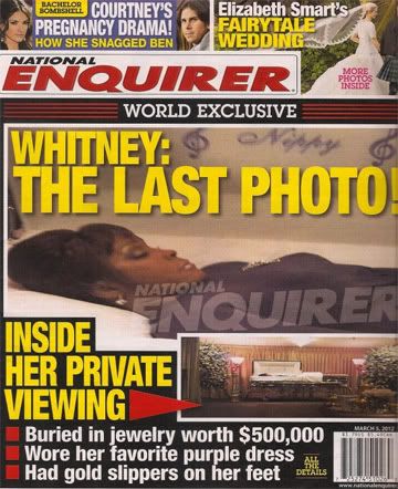 whitney houston in coffin whitney houstin casket