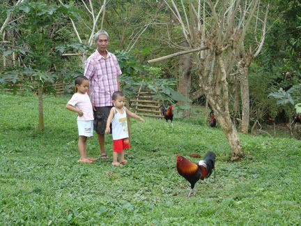 game farm Bagyo Gonzales game farm