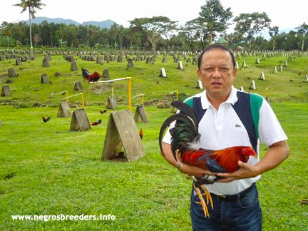 Narwin Javelosa Narwin Javelosa