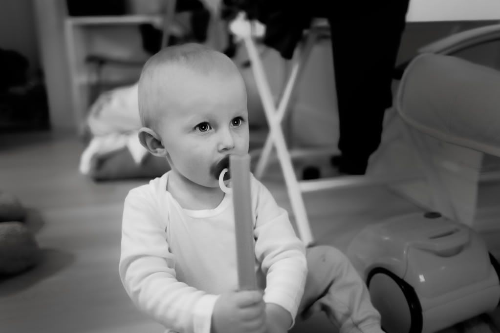 IMAGE: http://i1131.photobucket.com/albums/m557/palnaphotos/_T3F9508.jpg