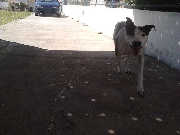 Imagem