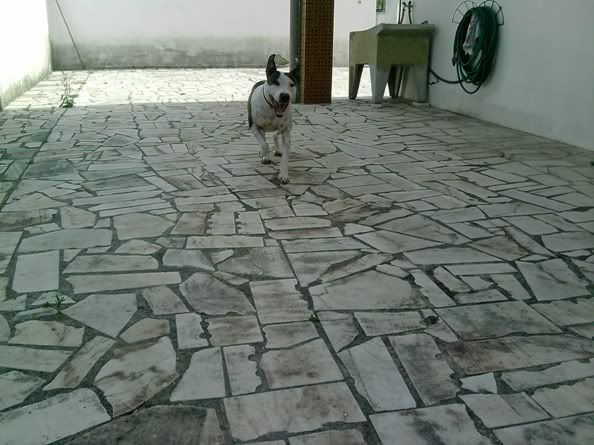Imagem