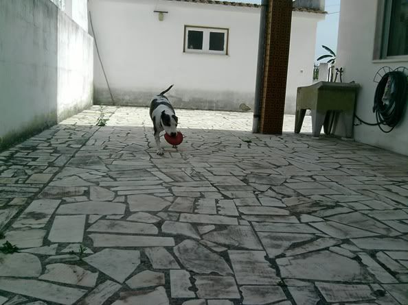 Imagem