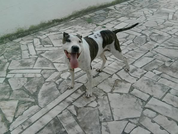 Imagem